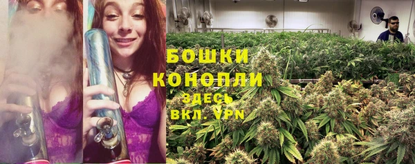 первитин Белокуриха